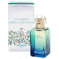 Hermes Un Jardin Apres la Mousson